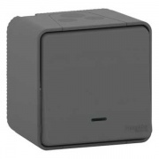 Кнопочный выключатель с подсветкой IP55 накладной монтаж Mureva Styl Schneider Electric Антрацит